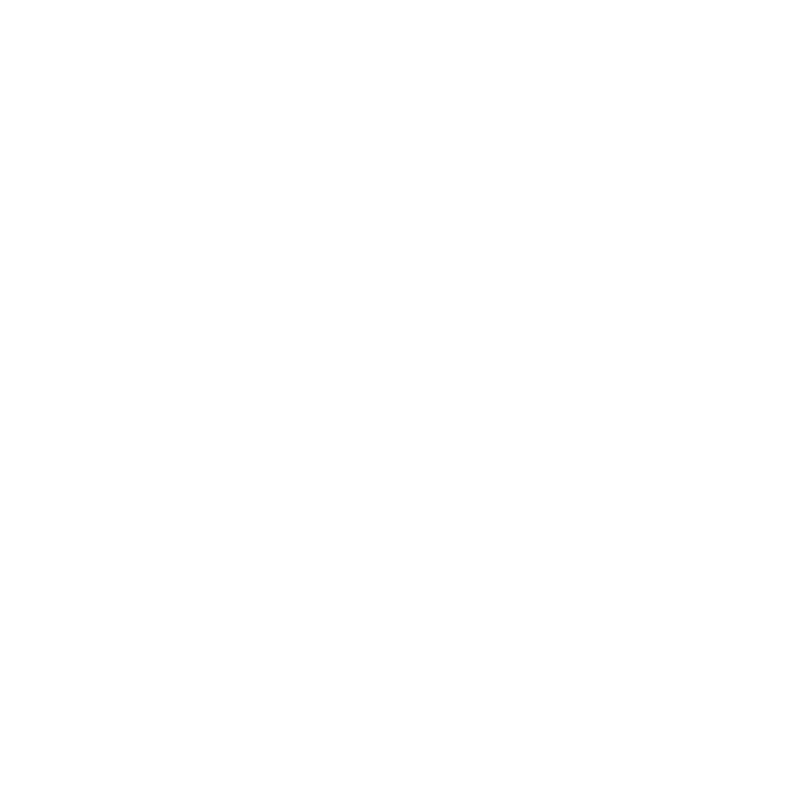 Human First AI Consulting